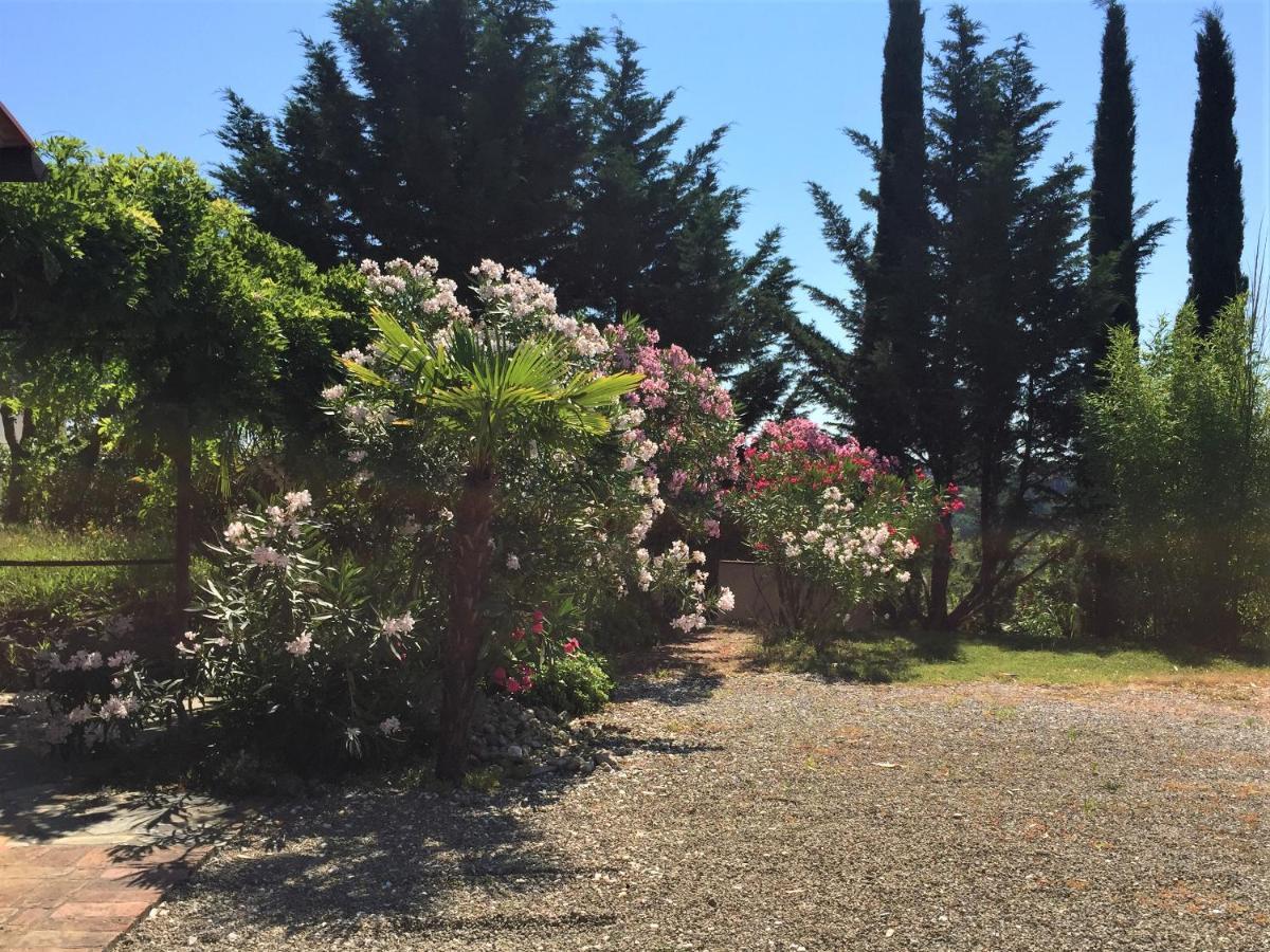 Poggio Magginga Apartment Terricciola Bagian luar foto