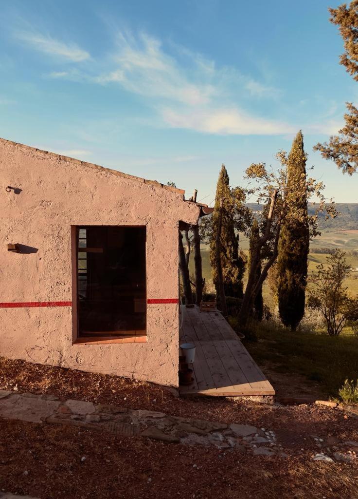 Poggio Magginga Apartment Terricciola Bagian luar foto